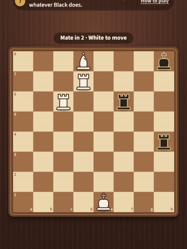 Rook & Riddle gameplay